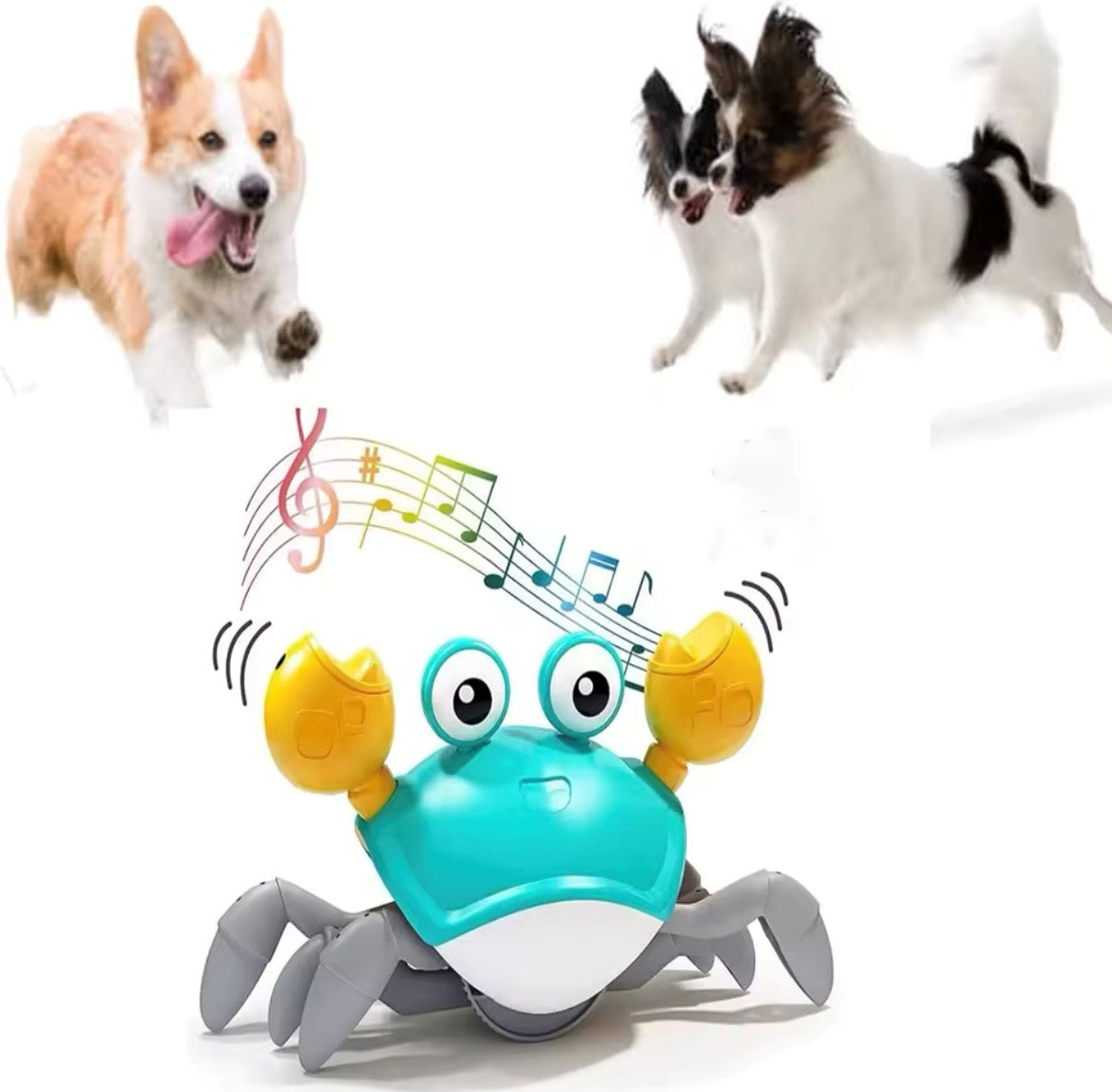 Engaging Interactive Dancing Crab Dog Toy with Musical Sounds