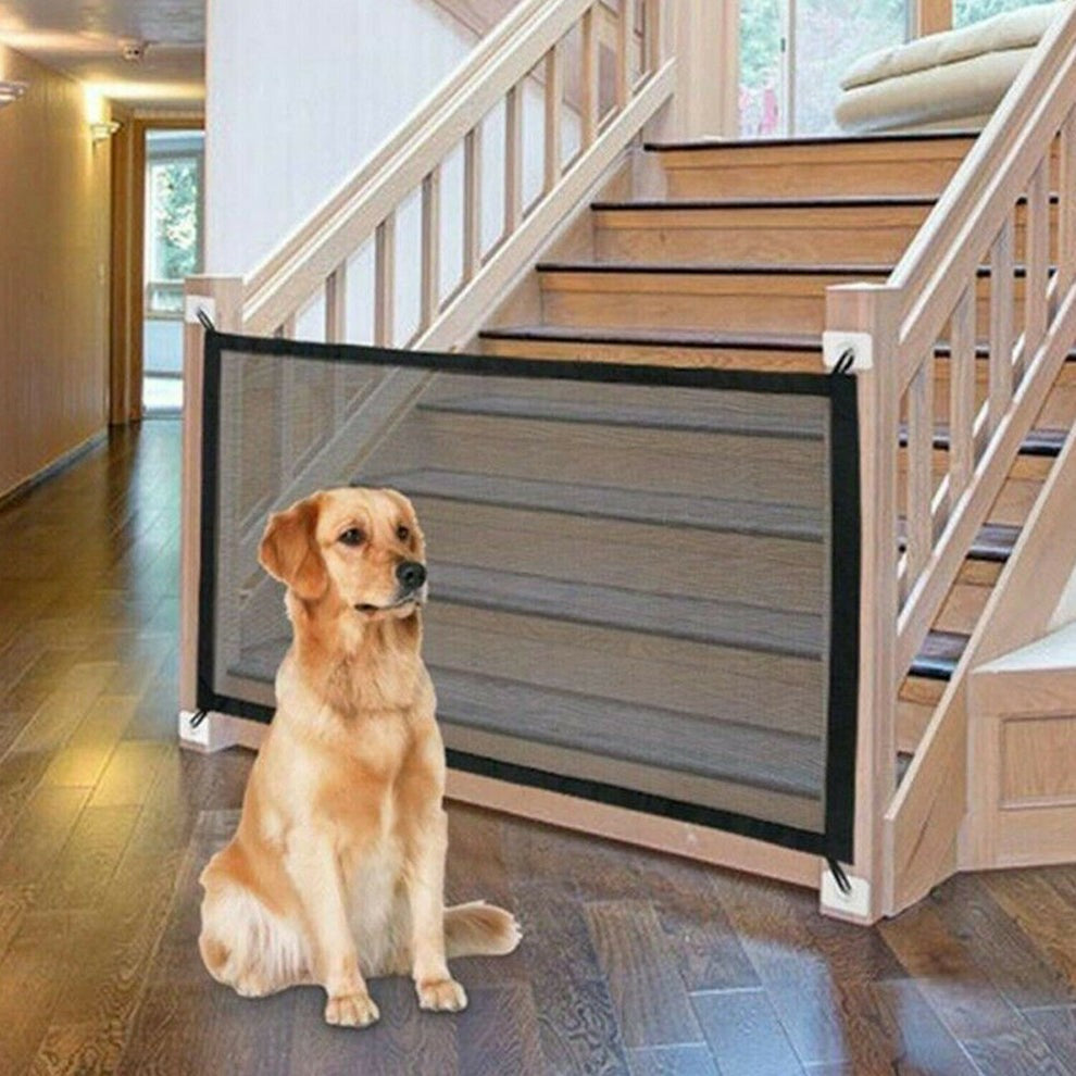 Pet Fence