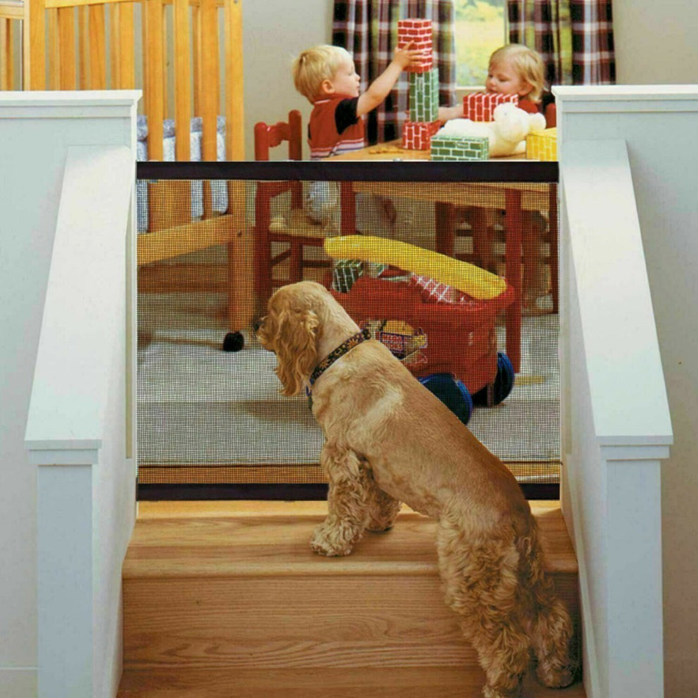 Pet Fence