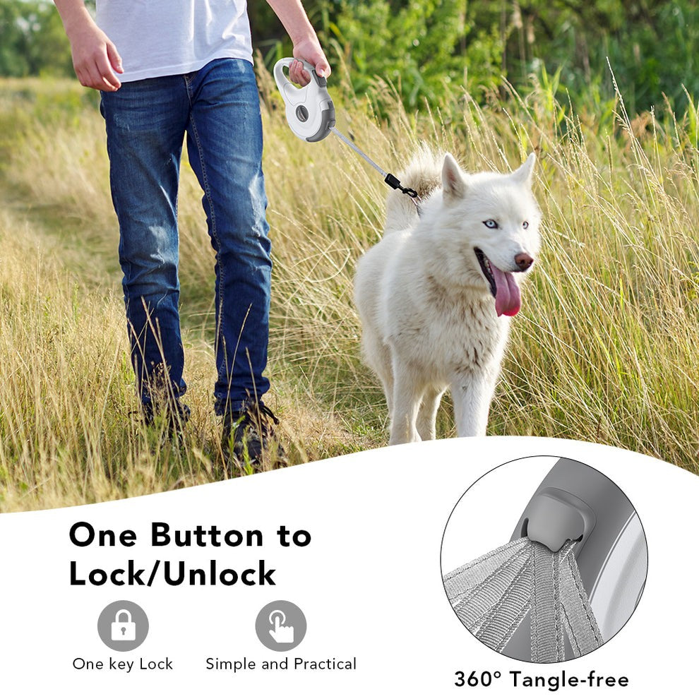 New 2025 Pet Hands Free Retractable Collar And Leash