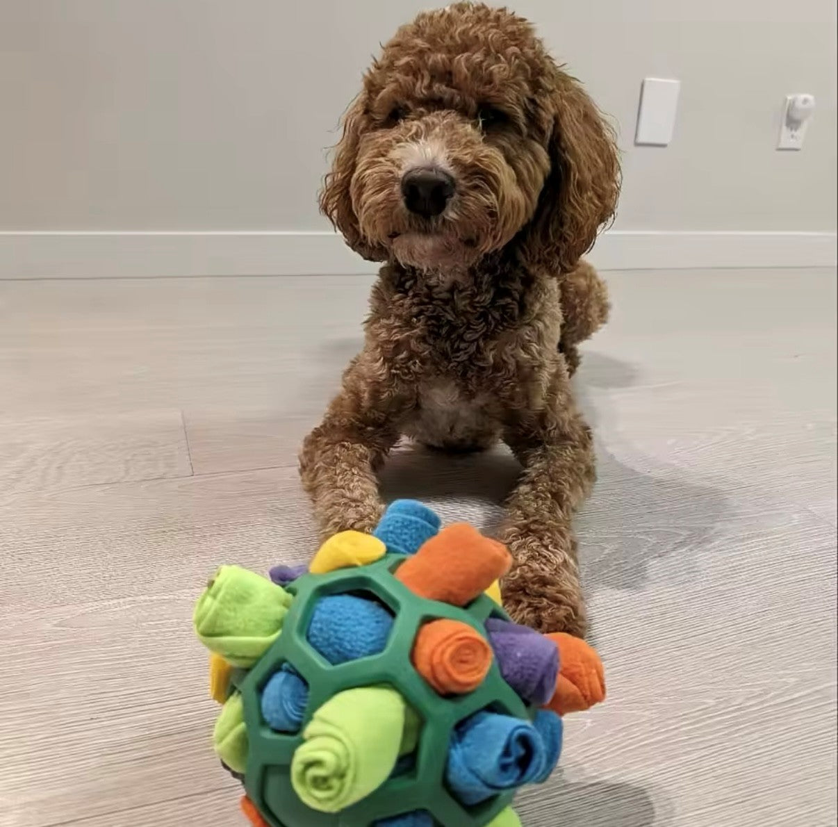 Interactive Dog Toy - Sniffing Ball for Hiding Treats