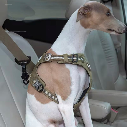 Dog Seat Belt