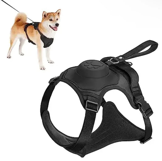 2in1 dog harness with lead