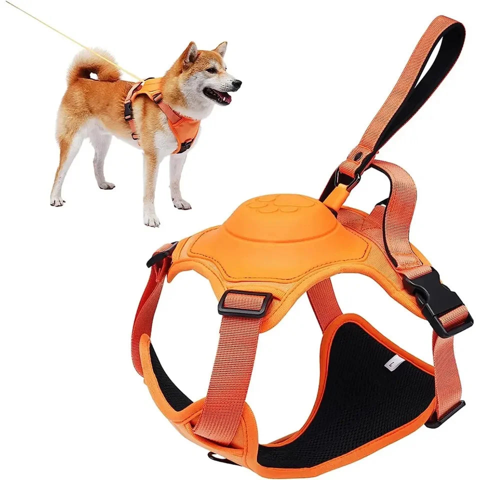 2in1 dog harness with lead