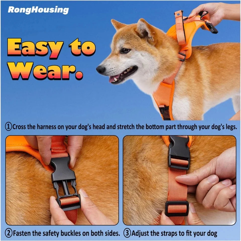 2in1 dog harness with lead