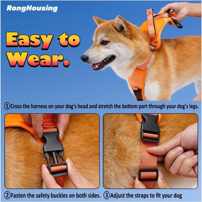 2in1 dog harness with lead