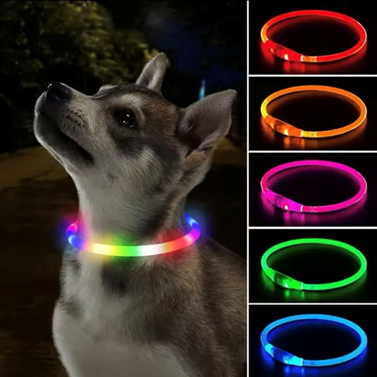 Pet flashing collar