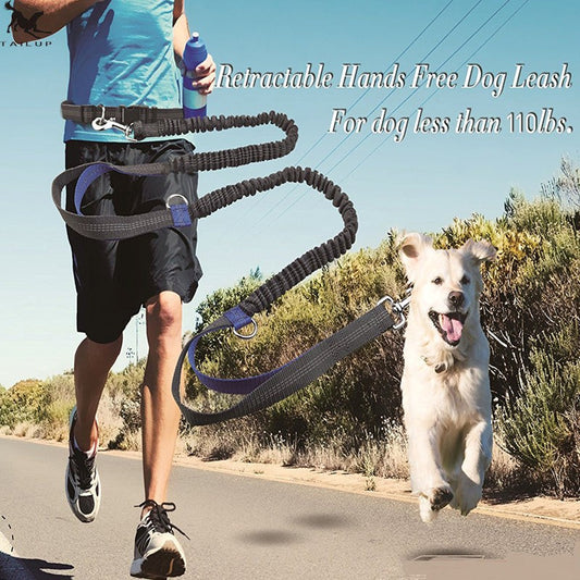 Retractable Hands Free Dog Lead for Running