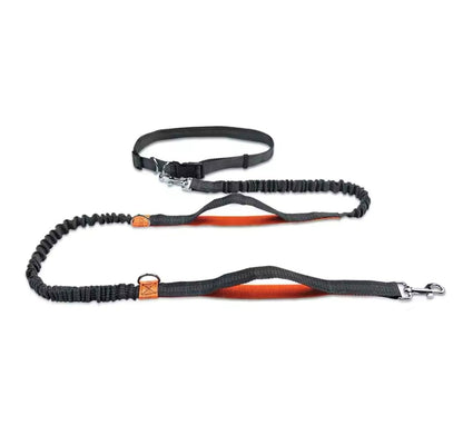 Retractable Hands Free Dog Lead for Running