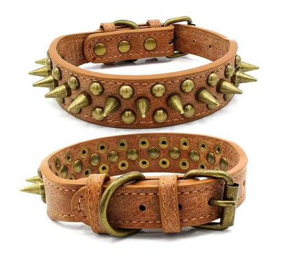 Cool Spikes Studded Dogs Collar