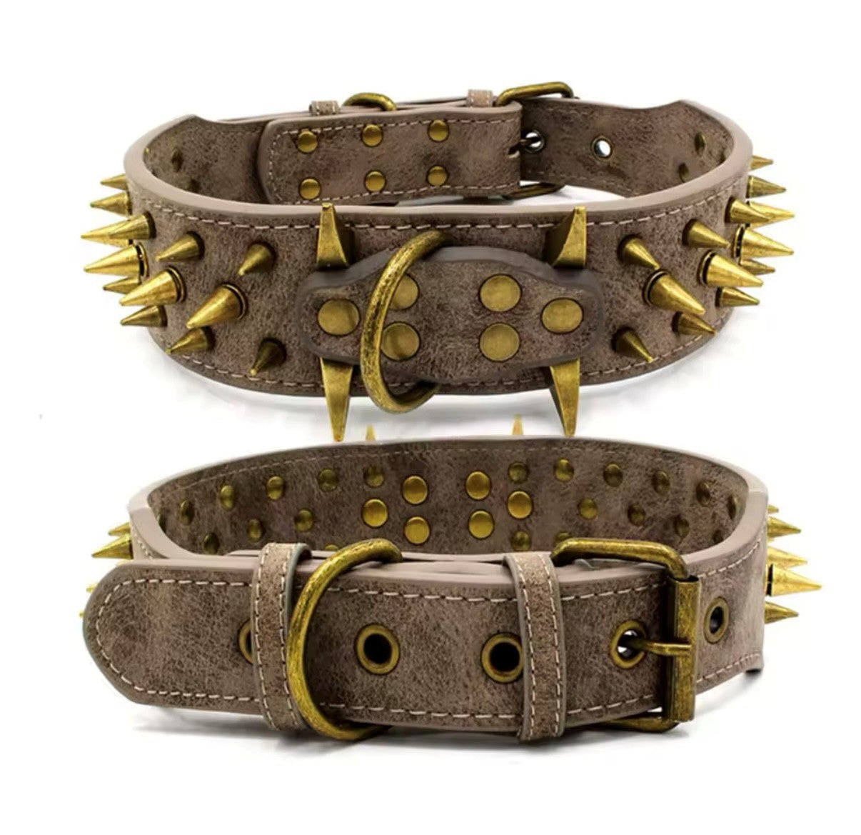 Cool Spikes Studded Dogs Collar