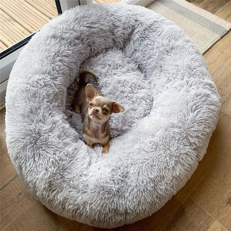 Super Soft Dog & Cat Bed