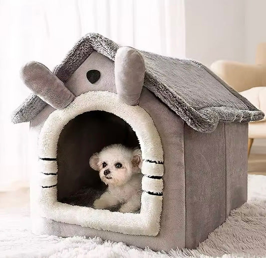 Cats and Dogs House