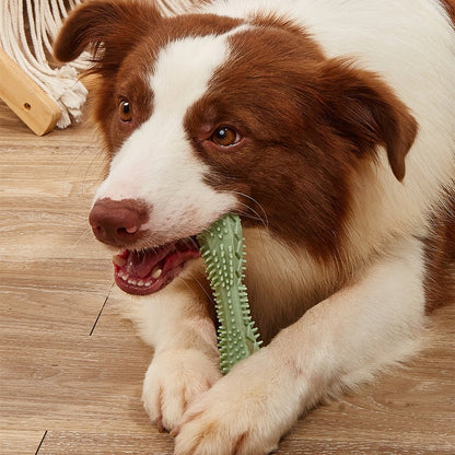 Durable Dog Chew Toys Teeth Cleaning Long-Lasting Fun Dental Care